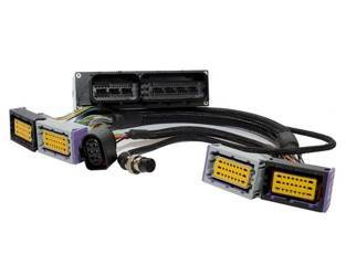 Ecumaster Adapter Fiat 500 Abarth (z DBW and PnP bundle)