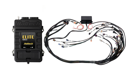 Elite 2500 + GM GEN IV LSx (LS2/LS3, etc.) wiring kit with finished DBW Injector connector: Bosch EV1