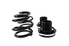 Drift Suspension D2 Racing BMW 3 SERIES E36 COMPACT 6 CYL TI 94-00