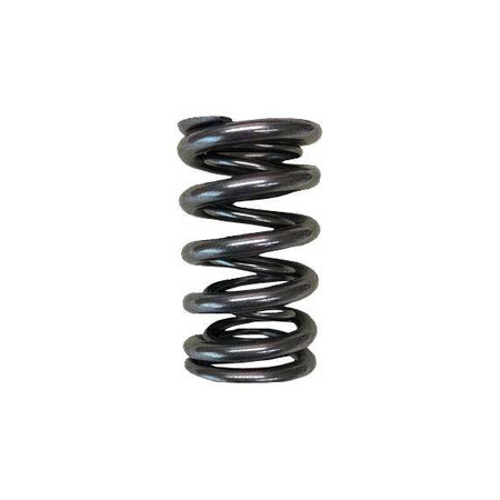 Brian Crower Valve Springs - Dual (Supertech Mitsubishi 4G63 Eclipse/Evo) BC1120