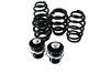 Street Suspension D2 Racing AUDI A4 B8 SEDAN 4WD 08-16