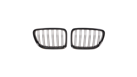 Grill BMW X1 E84 Dual Line Gloss Black