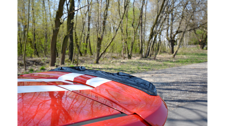 Spoiler Cap Ford Fiesta VI ST v.1 Gloss Black