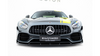 Splitter Mercedes-Benz AMG GT C C190 Facelift Front