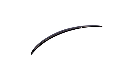 Spoiler Tesla Model 3 Lip Gloss Black