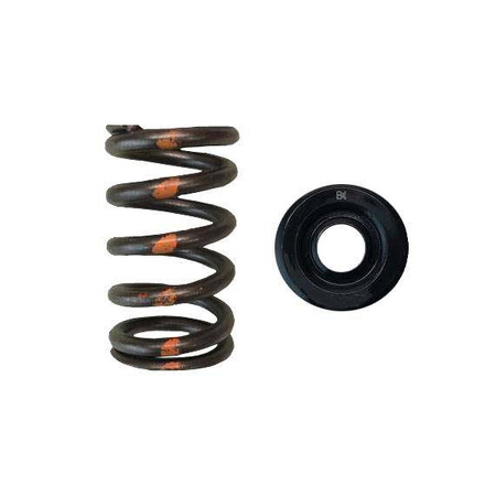 Brian Crower Single Spring/Steel Retainer Kit (Subaru Ej Series, Toyota 3Sgte/Ge) BC0600S