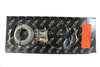 PROTON SERIES Nitrous System (35, 50, 75HP) 4,5L
